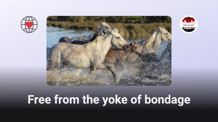 Free from the yoke of bondage.